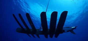 青島海舟科技：彩虹EDM實現(xiàn)企業(yè)從傳統(tǒng)管理模式轉型成信息化方式管理